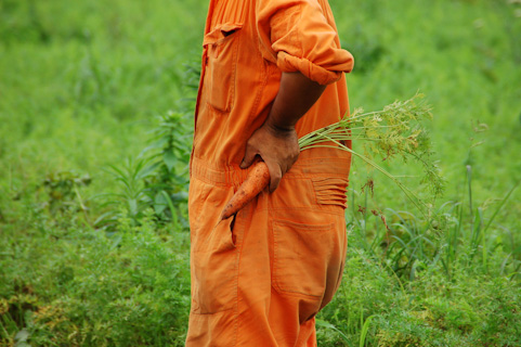 スクロール画像