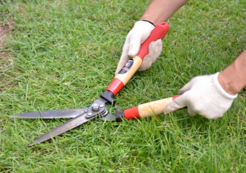 スクロール画像